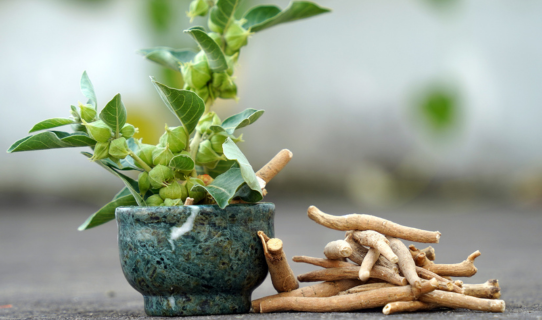 Ashwagandha Powder – Your Natural Stress Relief & Energy Booster