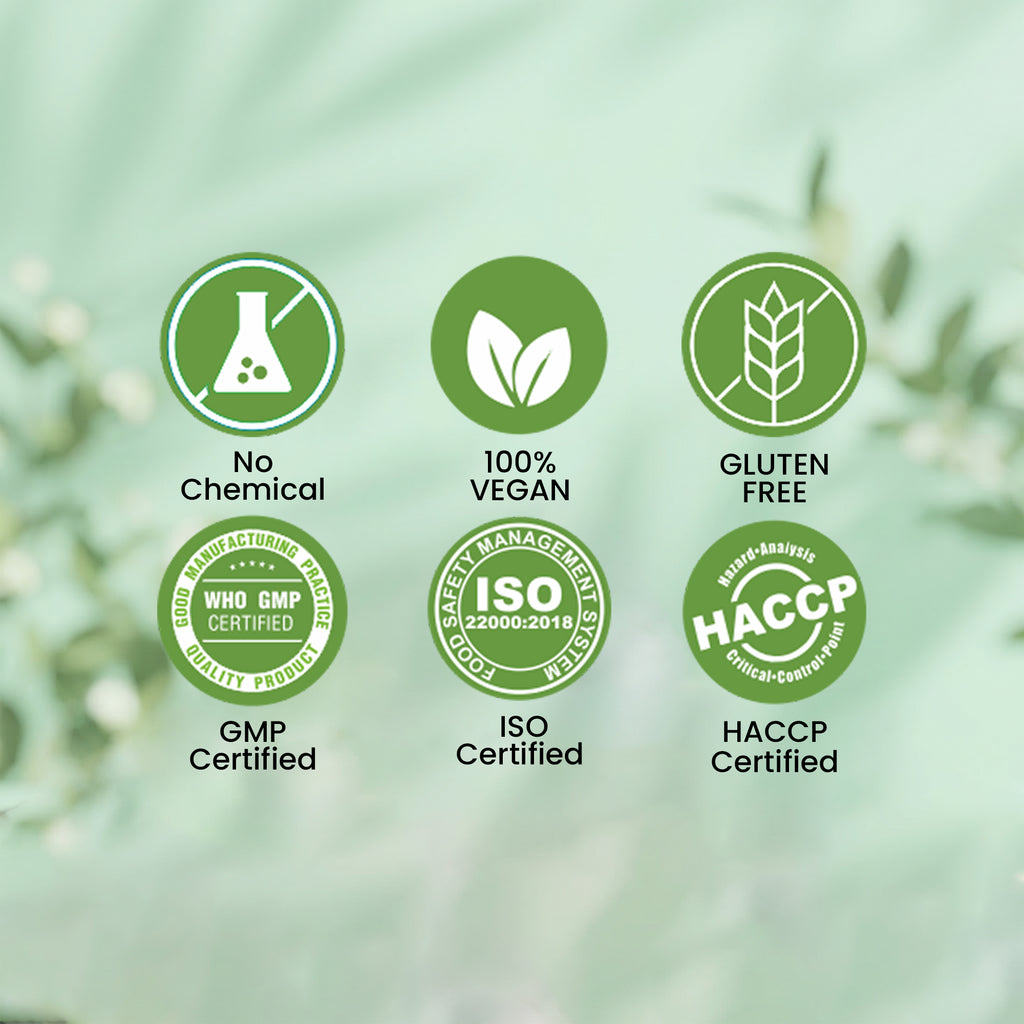 Greevera Vitamin B12 Green Superfood Powder – Natural B12 Support & Daily Energy Superfood